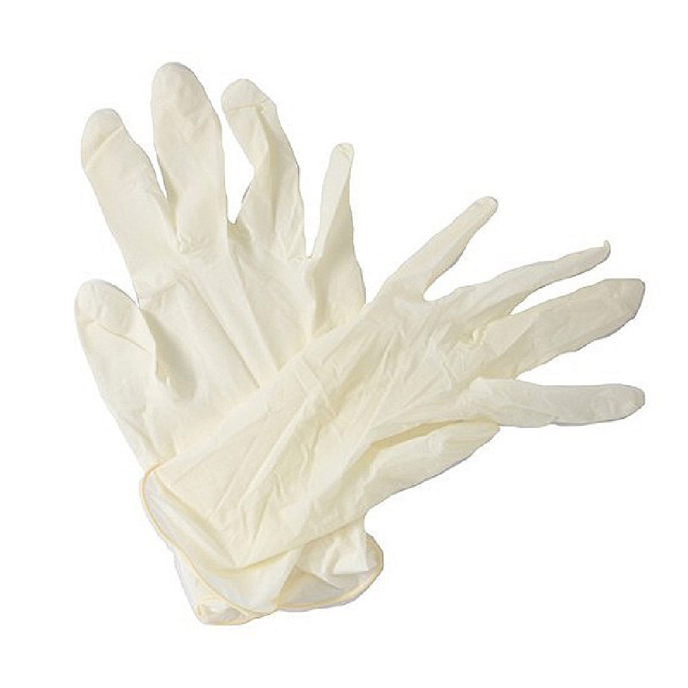 fromm clear vinyl gloves